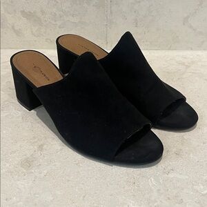 14th & Union Hayzel Black Suede Mules